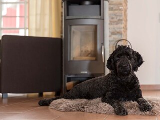 Appartement de vacances Greetsiel Équipement 9