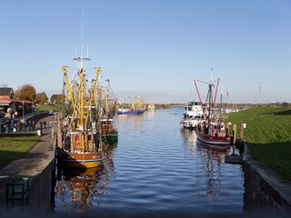 Vakantieappartement Greetsiel Omgeving 22