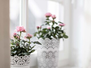 Appartamento per vacanze Greetsiel Caratteristiche 18