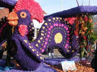 Casa per le vacanze Noordwijk Ambiente 27