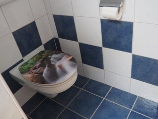 Appartamento per vacanze Hippach Caratteristiche 15