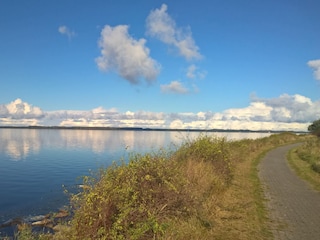 Radweg am Großen Jasmunder Bodden -1km vom Haus