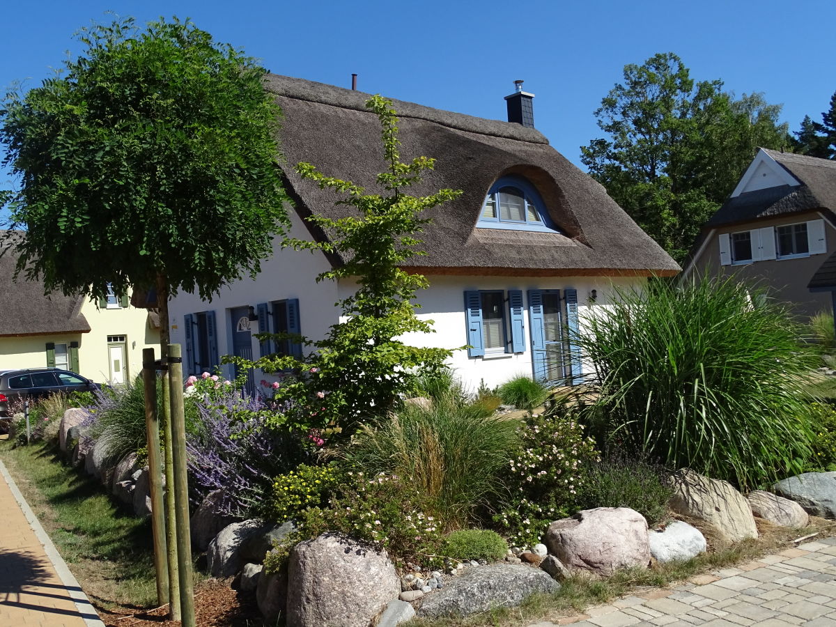 Reetgedecktes neues Massivhaus