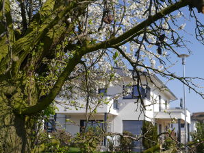 Ferienwohnung Frühburgunder im Ferienhaus Lehmättle - Sasbach am Kaiserstuhl - image1