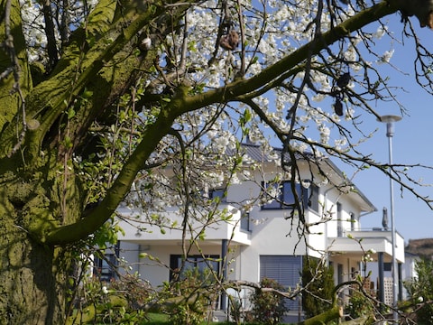 Ferienwohnung Frühburgunder im Ferienhaus Lehmättle