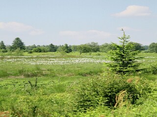 Ferienhaus Waimes Umgebung 24