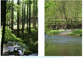 Vakantiehuis Daverdisse Omgeving 39