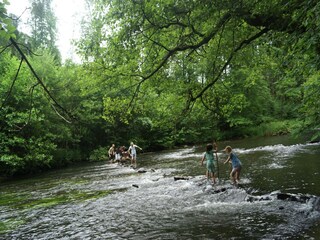 Vakantiehuis Daverdisse Omgeving 36