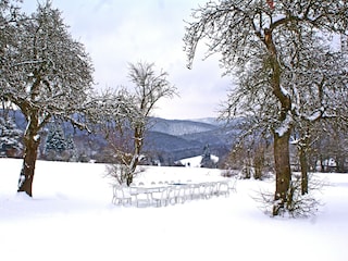 Ferienhaus Daverdisse Außenaufnahme 6