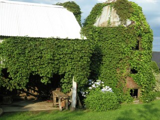 Ferienhaus Daverdisse Außenaufnahme 6