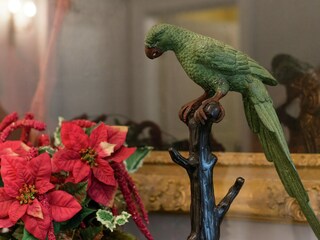 Casa de vacaciones Rochefort  40