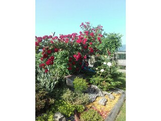 Casa per le vacanze Sankt Stefan ob Stainz Registrazione all'aperto 15