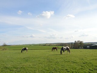 Casa de vacaciones Stavelot Entorno 28