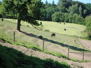 Casa de vacaciones Stavelot Grabación al aire libre 7