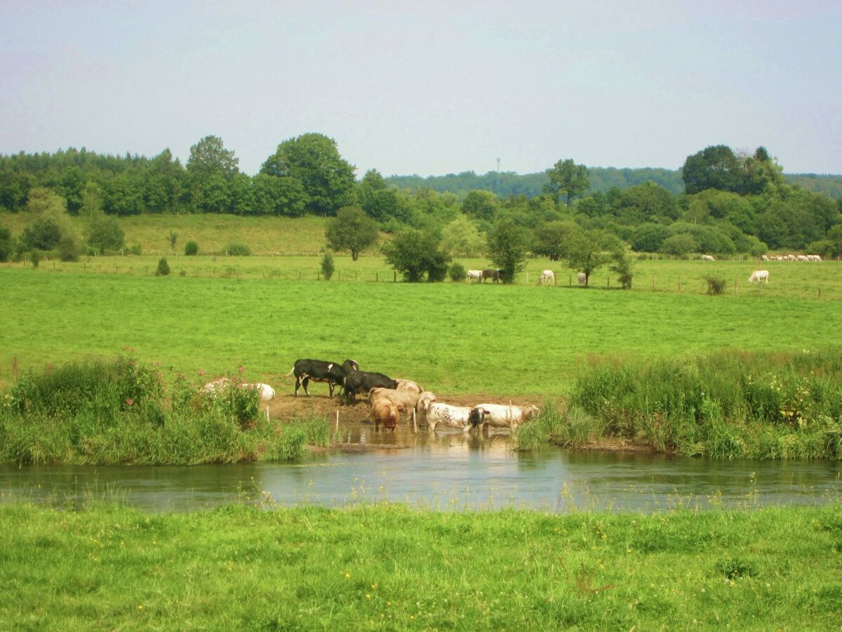 Bauernhof Gouvy Umgebung 26