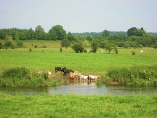 Farmhouse Gouvy Environment 32