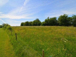 Maison de vacances Houffalize Environnement 37