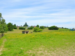 Maison de vacances Houffalize Environnement 38