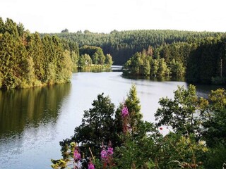 Villa Robertville Environnement 23