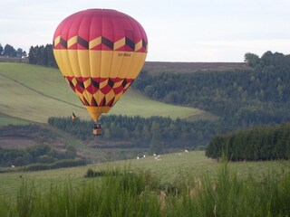 Chalet Houffalize Environnement 36