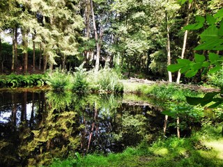 Chalet Houffalize Registrazione all'aperto 8