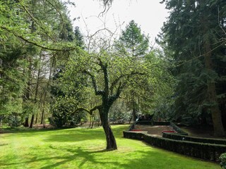 Vakantiehuis Gedinne Buitenaudio-opname 2