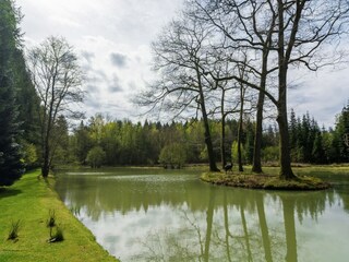 Ferienhaus Gedinne Außenaufnahme 6