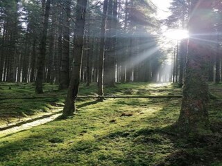 Maison de vacances Gedinne Environnement 33