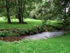 Ferienhaus Luxushaus am Wasser im Semois-Tal - Vresse-sur-Semois - image1