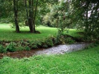 Casa de vacaciones Vresse-sur-Semois Entorno 34