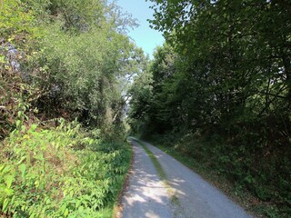 Type de propriété : Chalet Fauvillers Environnement 28