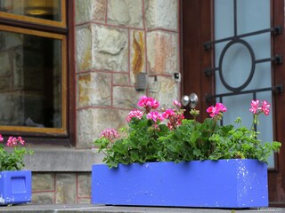 Vakantiehuis Waimes  38