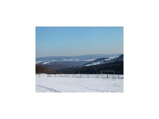 Ferienhaus La Roche-en-Ardenne Außenaufnahme 10