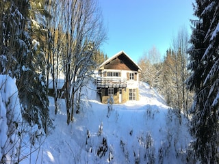 Ferienhaus Robertville Außenaufnahme 3