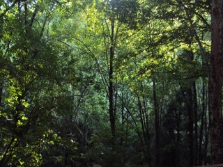 Chalet Robertville Environment 30