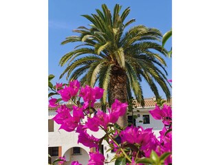 Casa per le vacanze Empuriabrava Registrazione all'aperto 5