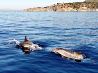 Casa per le vacanze Empuriabrava Ambiente 31