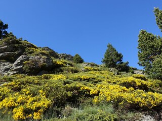 Casa per le vacanze Empuriabrava Ambiente 33