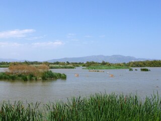 Casa per le vacanze Empuriabrava Ambiente 36