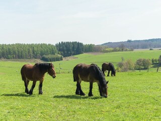 Vakantiehuis Bièvre Omgeving 24