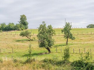 Vakantiehuis Bièvre Omgeving 28