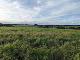 Ferienhaus Bièvre Umgebung 28