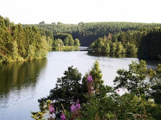 Apartment Robertville Umgebung 34