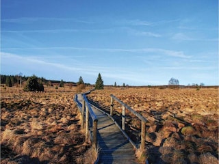 Apartment Robertville Umgebung 36