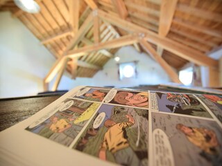 Maison de vacances Vielsalm  33