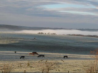 Casa per le vacanze Aywaille Ambiente 34