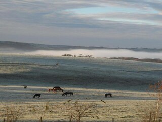 Maison de vacances Aywaille Environnement 37