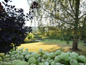 Gemütliche Villa in Vielsalm mit privatem Garten - Vielsalm - image1