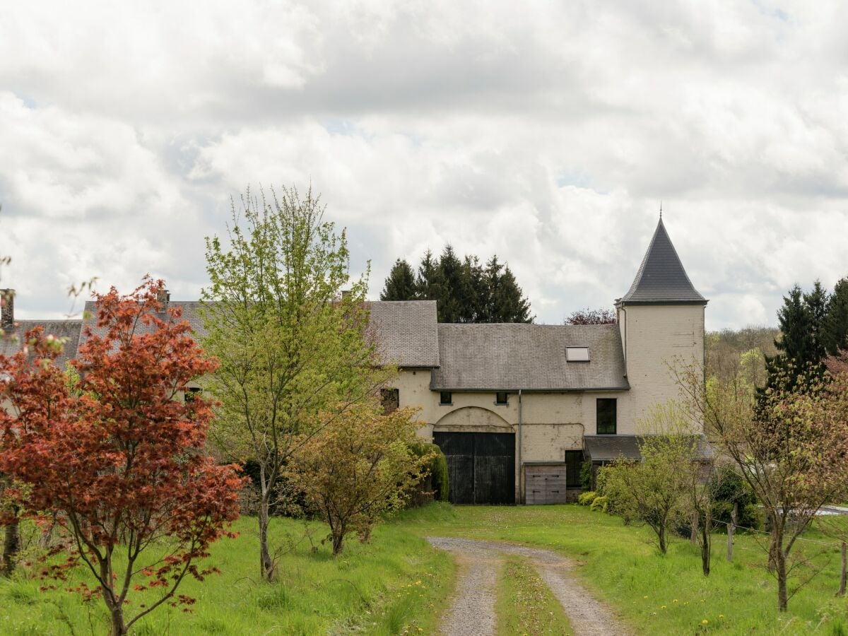 Ferienhaus Libin Umgebung 36