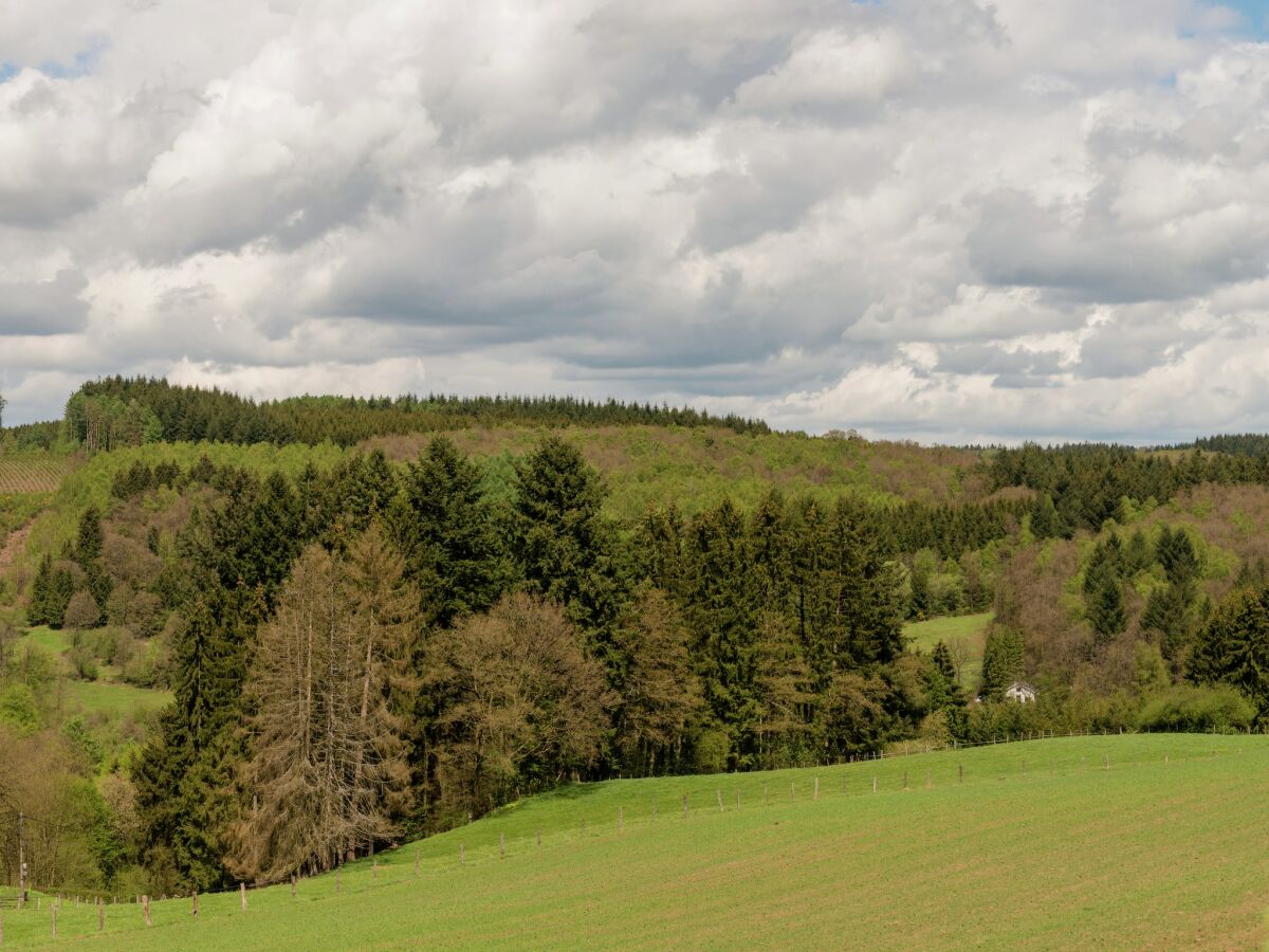 Ferienhaus Libin Umgebung 37